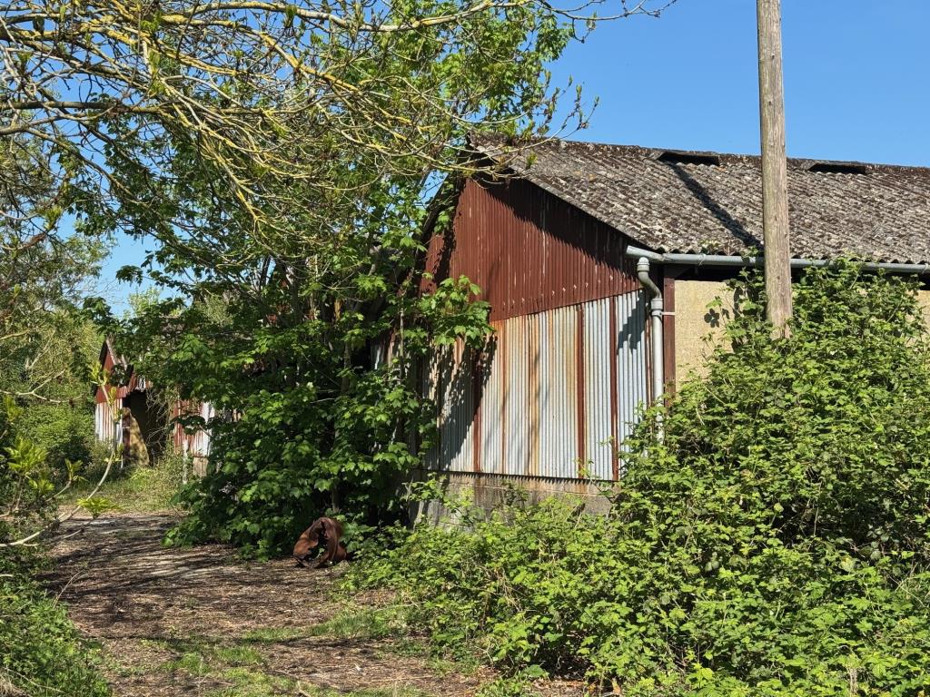 Lot: 107 - CATTLE AND OPEN BAY HAY BARNS WITH POTENTIAL - Attached barns view 1